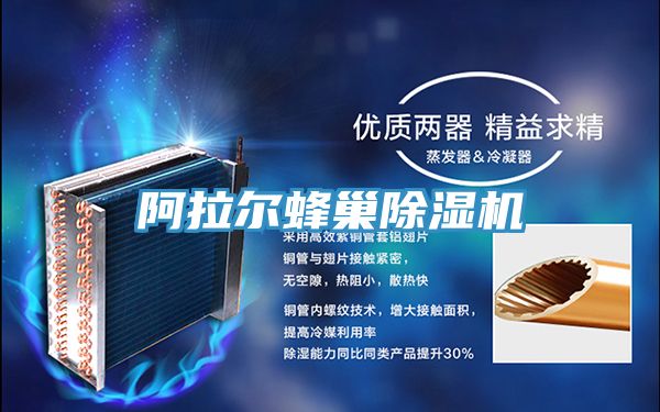 阿拉爾蜂巢PICACG哔咔官网入口