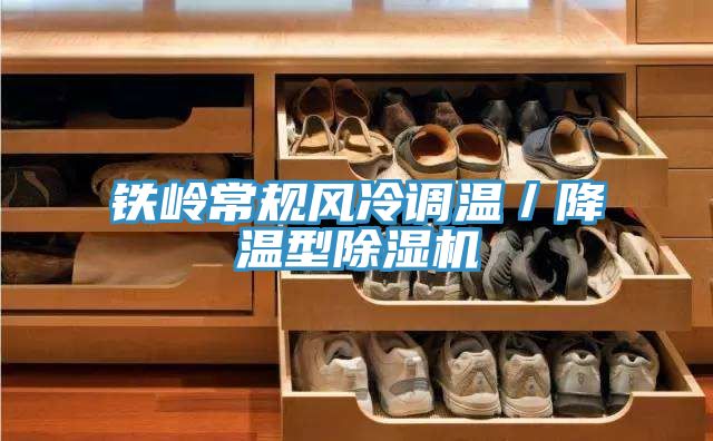 鐵嶺常規風冷調溫／降溫型PICACG哔咔官网入口