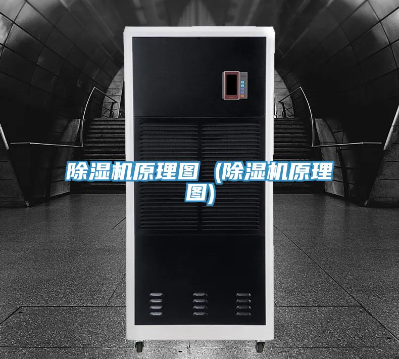 PICACG哔咔官网入口原理圖 (PICACG哔咔官网入口原理圖)