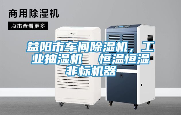 益陽市車間PICACG哔咔官网入口，工業抽濕機  恒溫恒濕非標機器