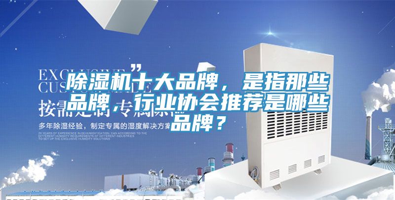 PICACG哔咔官网入口十大品牌，是指那些品牌，行業協會推薦是哪些品牌？