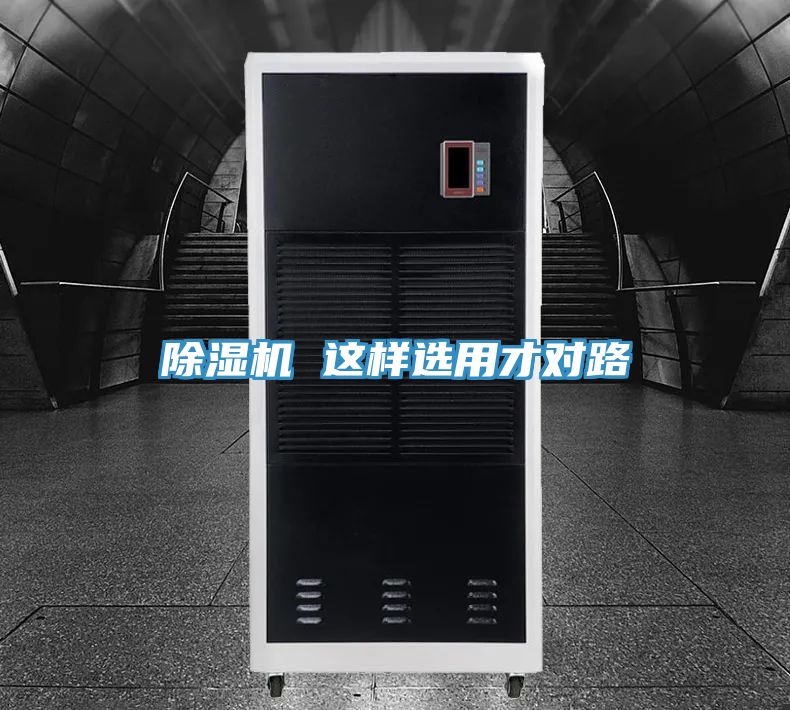 PICACG哔咔官网入口 這樣選用才對路