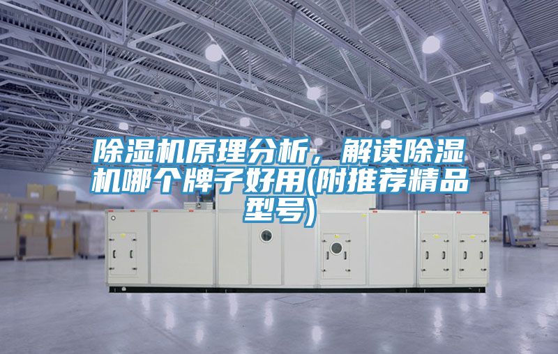 PICACG哔咔官网入口原理分析，解讀PICACG哔咔官网入口哪個牌子好用(附推薦精品型號)