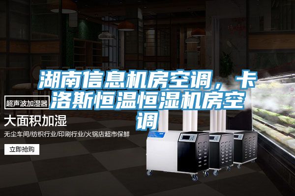 湖南信息機房空調，卡洛斯恒溫恒濕機房空調