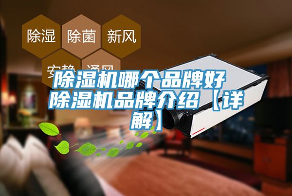 PICACG哔咔官网入口哪個品牌好 PICACG哔咔官网入口品牌介紹【詳解】