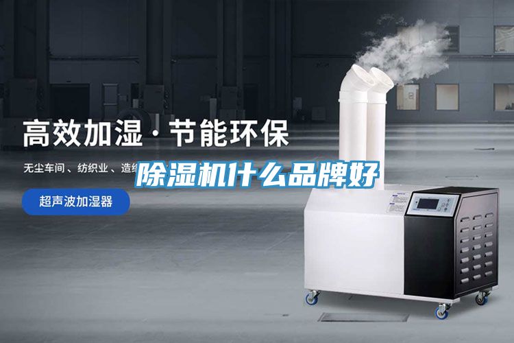 PICACG哔咔官网入口什麽品牌好