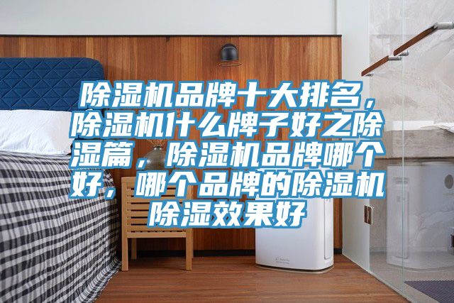 PICACG哔咔官网入口品牌十大排名，PICACG哔咔官网入口什麽牌子好之除濕篇，PICACG哔咔官网入口品牌哪個好，哪個品牌的PICACG哔咔官网入口除濕效果好