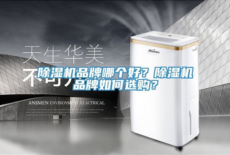 PICACG哔咔官网入口品牌哪個好？PICACG哔咔官网入口品牌如何選購？