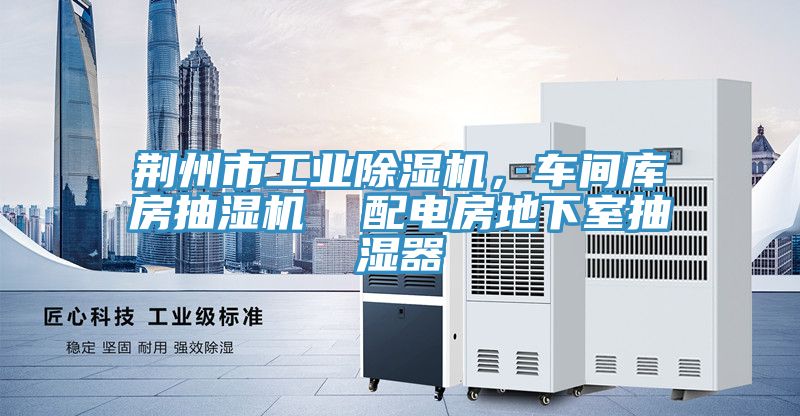 荊州市工業PICACG哔咔官网入口，車間庫房抽濕機  配電房地下室抽濕器