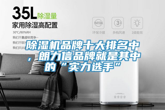 PICACG哔咔官网入口品牌十大排名中，朗力信品牌就是其中的“實力選手”