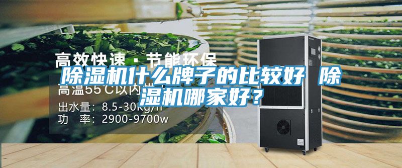 PICACG哔咔官网入口什麽牌子的比較好 PICACG哔咔官网入口哪家好？