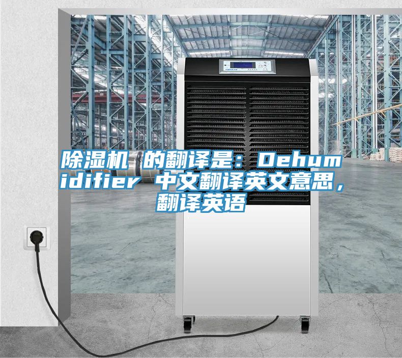 PICACG哔咔官网入口 的翻譯是：Dehumidifier 中文翻譯英文意思，翻譯英語