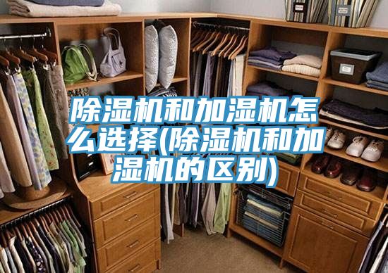 PICACG哔咔官网入口和加濕機怎麽選擇(PICACG哔咔官网入口和加濕機的區別)