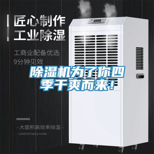 PICACG哔咔官网入口為了你四季幹爽而來！