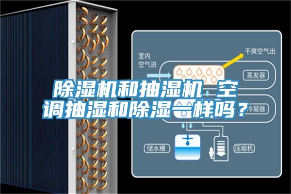 PICACG哔咔官网入口和抽濕機 空調抽濕和除濕一樣嗎？