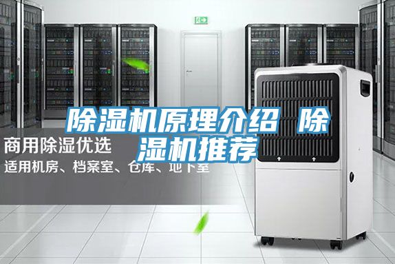 PICACG哔咔官网入口原理介紹 PICACG哔咔官网入口推薦