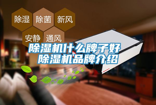 PICACG哔咔官网入口什麽牌子好 PICACG哔咔官网入口品牌介紹
