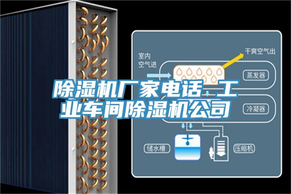 PICACG哔咔官网入口廠家電話 工業車間PICACG哔咔官网入口公司