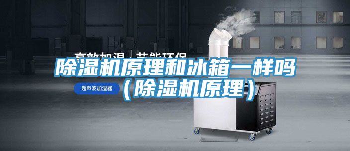 PICACG哔咔官网入口原理和冰箱一樣嗎（PICACG哔咔官网入口原理）