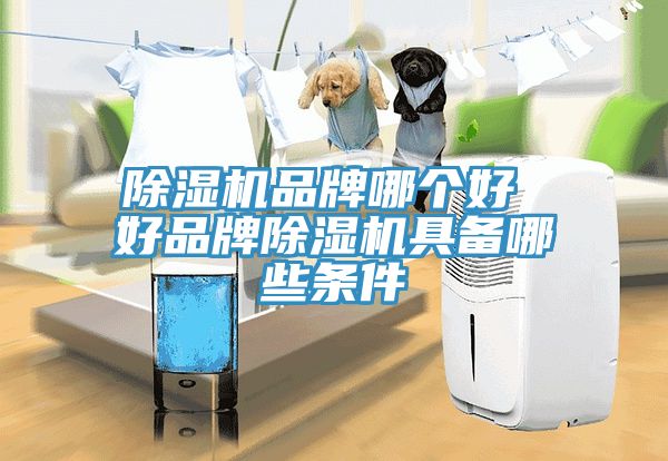 PICACG哔咔官网入口品牌哪個好 好品牌PICACG哔咔官网入口具備哪些條件