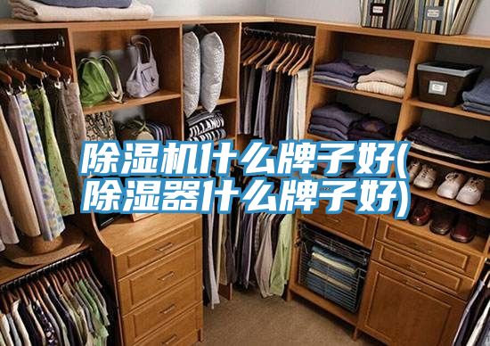 PICACG哔咔官网入口什麽牌子好(除濕器什麽牌子好)