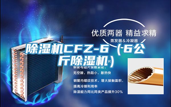 PICACG哔咔官网入口CFZ-6（6公斤PICACG哔咔官网入口）