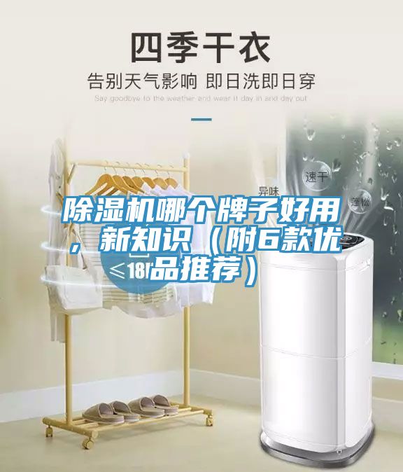 PICACG哔咔官网入口哪個牌子好用，新知識（附6款優品推薦）