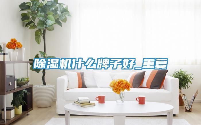 PICACG哔咔官网入口什麽牌子好_重複