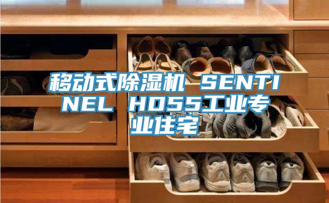 移動式PICACG哔咔官网入口 SENTINEL HD55工業專業住宅