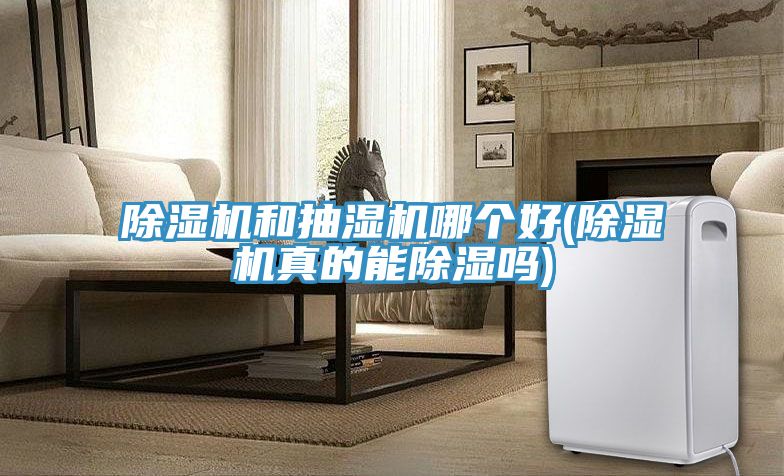 PICACG哔咔官网入口和抽濕機哪個好(PICACG哔咔官网入口真的能除濕嗎)