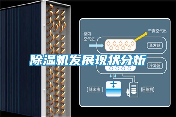 PICACG哔咔官网入口發展現狀分析