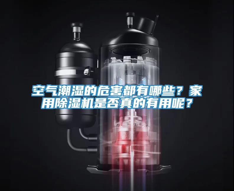 空氣潮濕的危害都有哪些？家用PICACG哔咔官网入口是否真的有用呢？