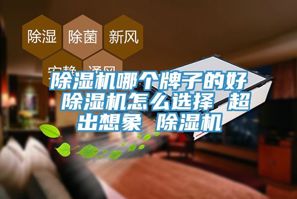 PICACG哔咔官网入口哪個牌子的好 PICACG哔咔官网入口怎麽選擇 超出想象 PICACG哔咔官网入口