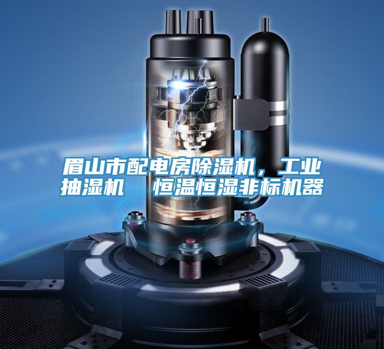 眉山市配電房PICACG哔咔官网入口，工業抽濕機  恒溫恒濕非標機器