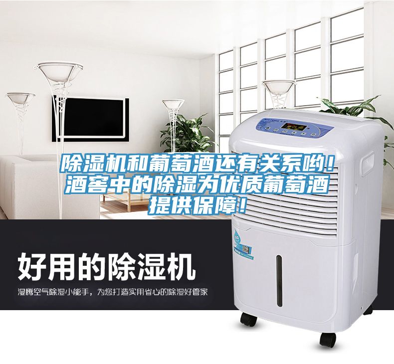 PICACG哔咔官网入口和葡萄酒還有關係喲！酒窖中的除濕為優質葡萄酒提供保障！