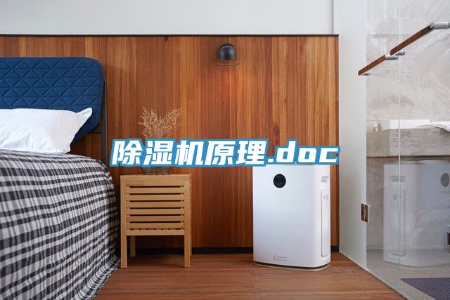 PICACG哔咔官网入口原理.doc