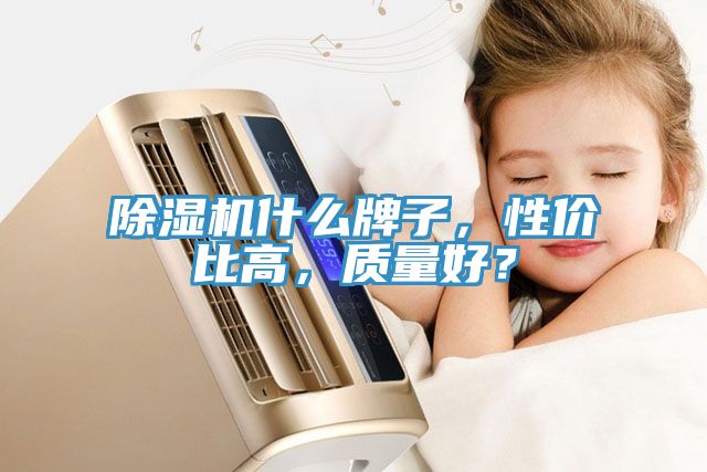 PICACG哔咔官网入口什麽牌子，性價比高，質量好？