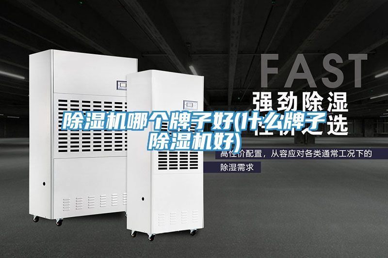 PICACG哔咔官网入口哪個牌子好(什麽牌子PICACG哔咔官网入口好)