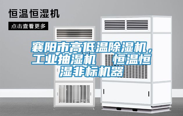 襄陽市高低溫PICACG哔咔官网入口，工業抽濕機  恒溫恒濕非標機器