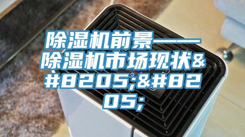 PICACG哔咔官网入口前景——PICACG哔咔官网入口市場現狀‍‍