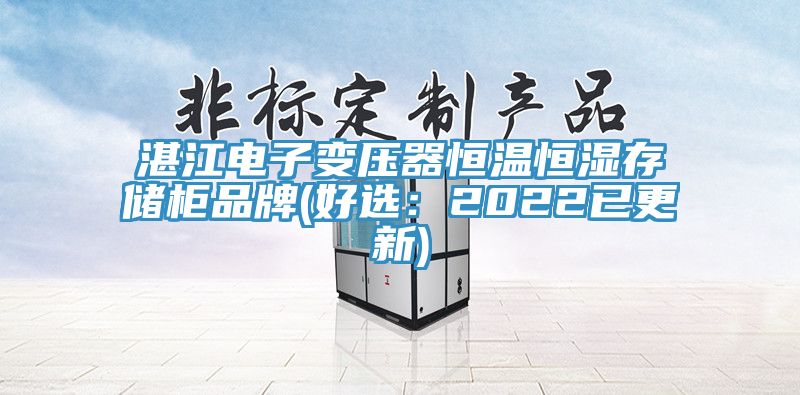 湛江電子變壓器恒溫恒濕存儲櫃品牌(好選：2022已更新)