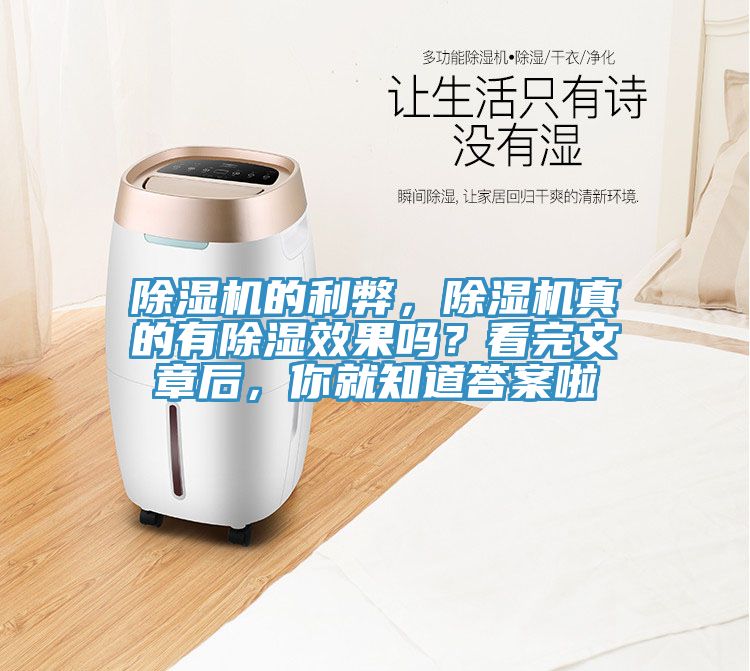 PICACG哔咔官网入口的利弊，PICACG哔咔官网入口真的有除濕效果嗎？看完文章後，你就知道答案啦