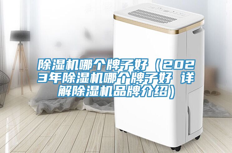 PICACG哔咔官网入口哪個牌子好（2023年PICACG哔咔官网入口哪個牌子好 詳解PICACG哔咔官网入口品牌介紹）