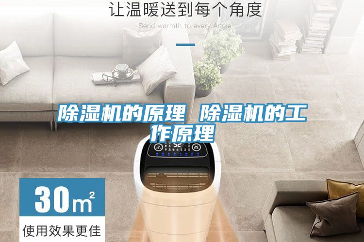 PICACG哔咔官网入口的原理 PICACG哔咔官网入口的工作原理