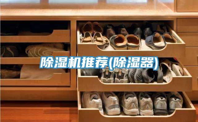 PICACG哔咔官网入口推薦(除濕器)