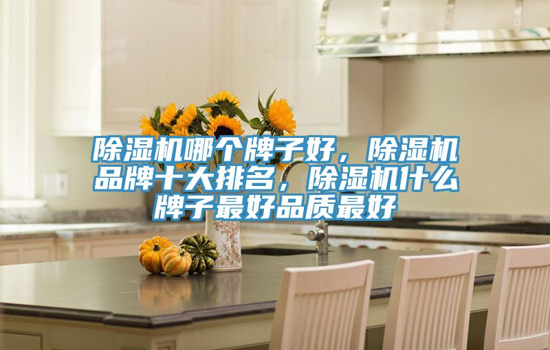 PICACG哔咔官网入口哪個牌子好，PICACG哔咔官网入口品牌十大排名，PICACG哔咔官网入口什麽牌子最好品質最好