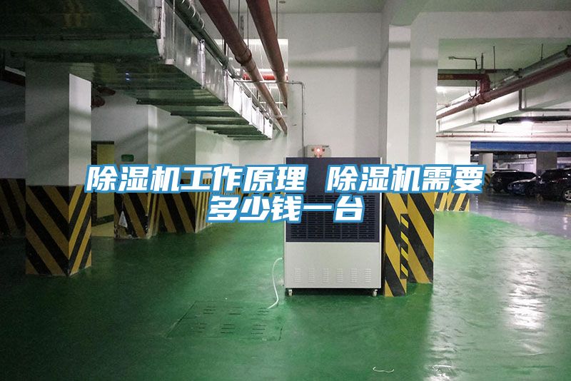 PICACG哔咔官网入口工作原理 PICACG哔咔官网入口需要多少錢一台