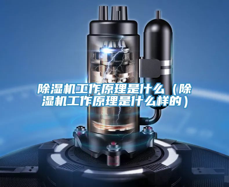 PICACG哔咔官网入口工作原理是什麽（PICACG哔咔官网入口工作原理是什麽樣的）