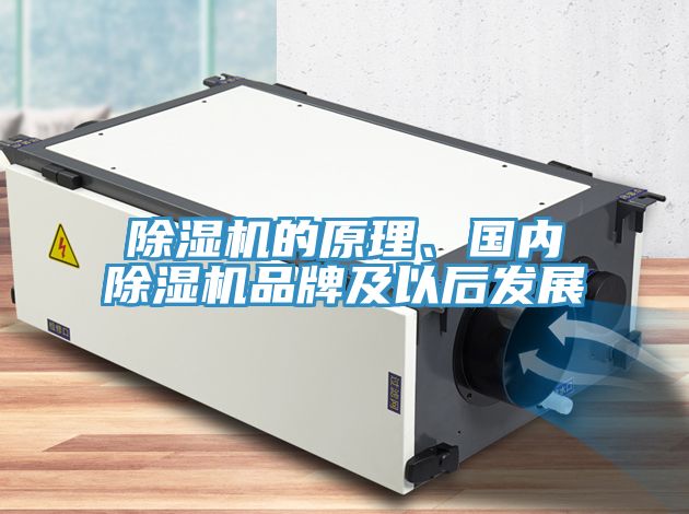 PICACG哔咔官网入口的原理、國內PICACG哔咔官网入口品牌及以後發展