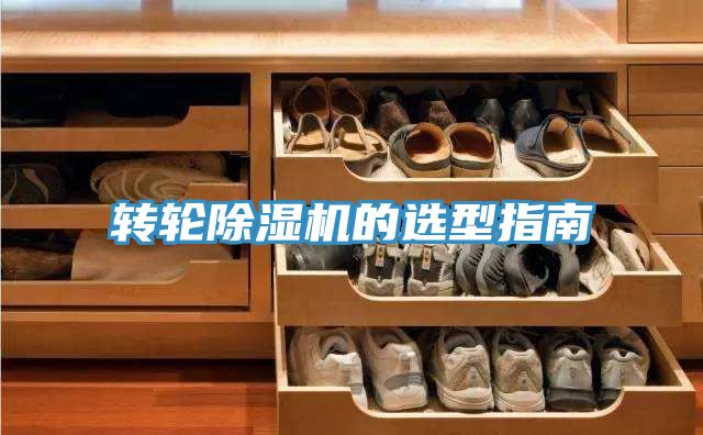 轉輪PICACG哔咔官网入口的選型指南